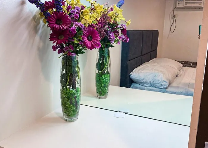 2br Across Sm San Lazaro Self Check-in & Parking Option * 马尼拉